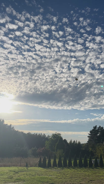 Zdalnie Sterowany Samolot SU-35