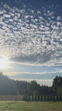 Zdalnie Sterowany Samolot SU-35